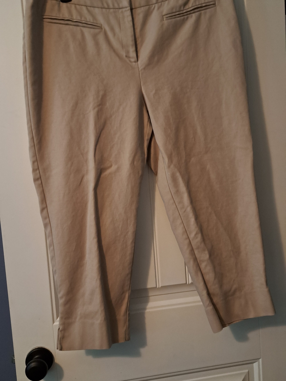 Chico's Neutral Beige Stretch Pants